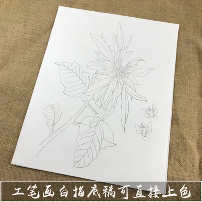 

12 Sheets Flower chrysanthemum copying brush, line drawing and color ripe rice xuan paper Meticulous Painting Manuscripts