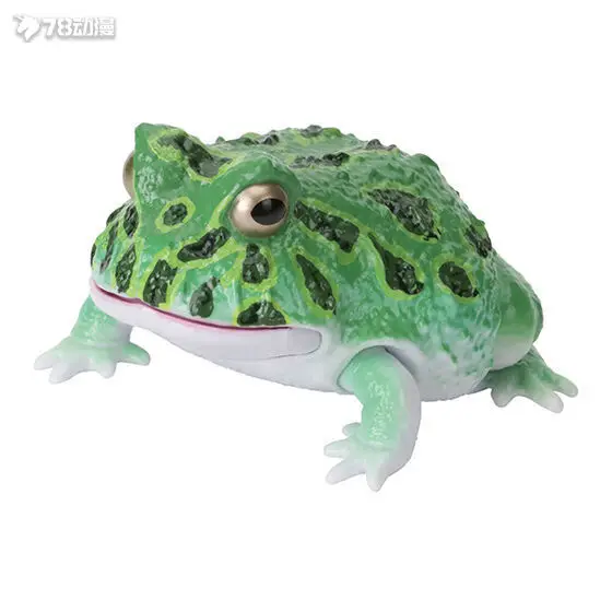 Bandai Gashapon ของแท้ 'ภาพประกอบทางชีวภาพ' Series - Horned Frog, Short-Headed Frog & Bread Frog Figures (Collectible Na