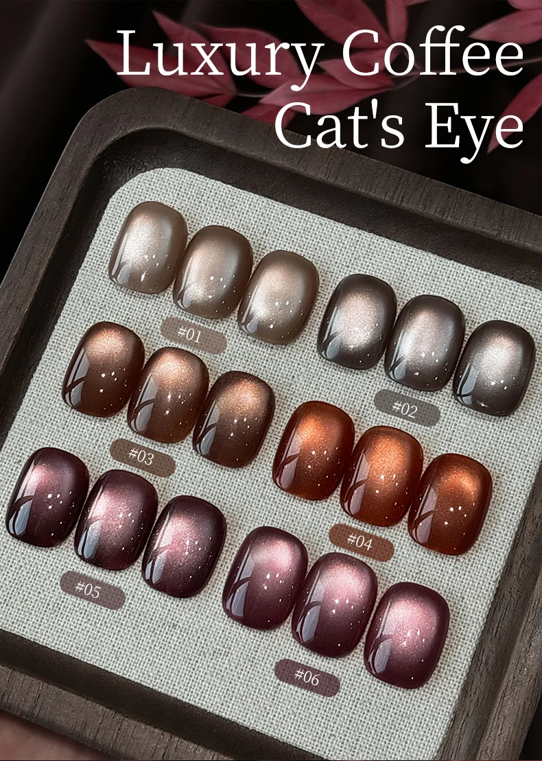 15 ml 6 Farben Luxus Kaffee Katzenauge Nagel Gelpoliermittel Set mit Soak Off UVLED Cat Eye Gelpoliermittel Maniküre Nail Art Kit – Detail 1