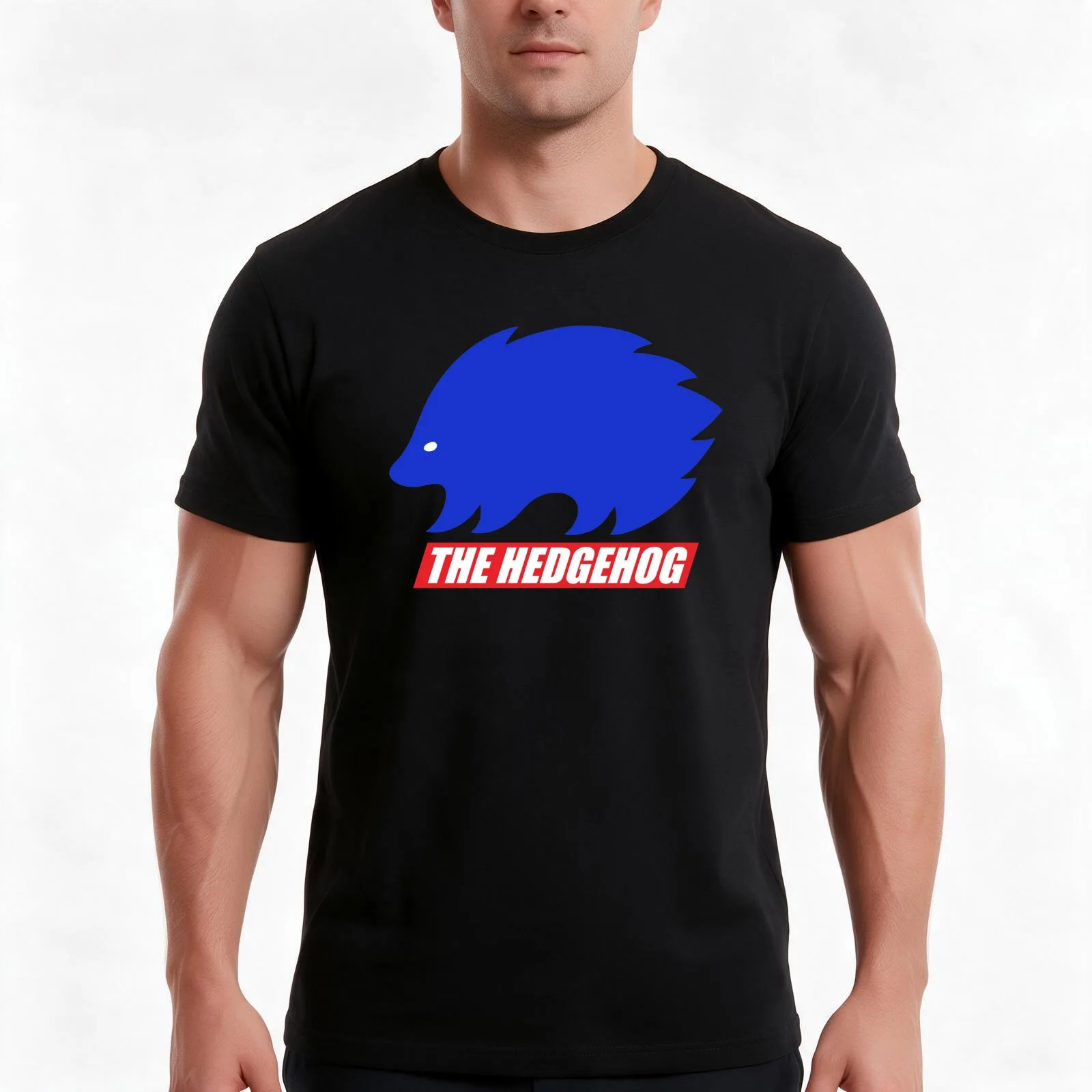 Blue Hedgehog T-Shirt, Summer Casual Cotton Tee, Oversized Streetwear Tops, Vintage Graphic Print, Loose Fit Short Sleeve