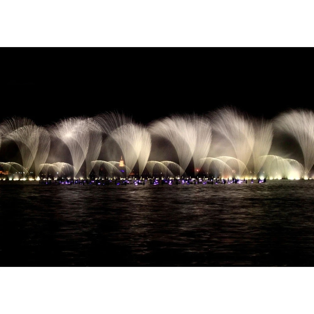 نافورة الموسيقى التصميم المحلي والأجنبي وتركيب البناء خدمة الطاووس وقفة واحدة