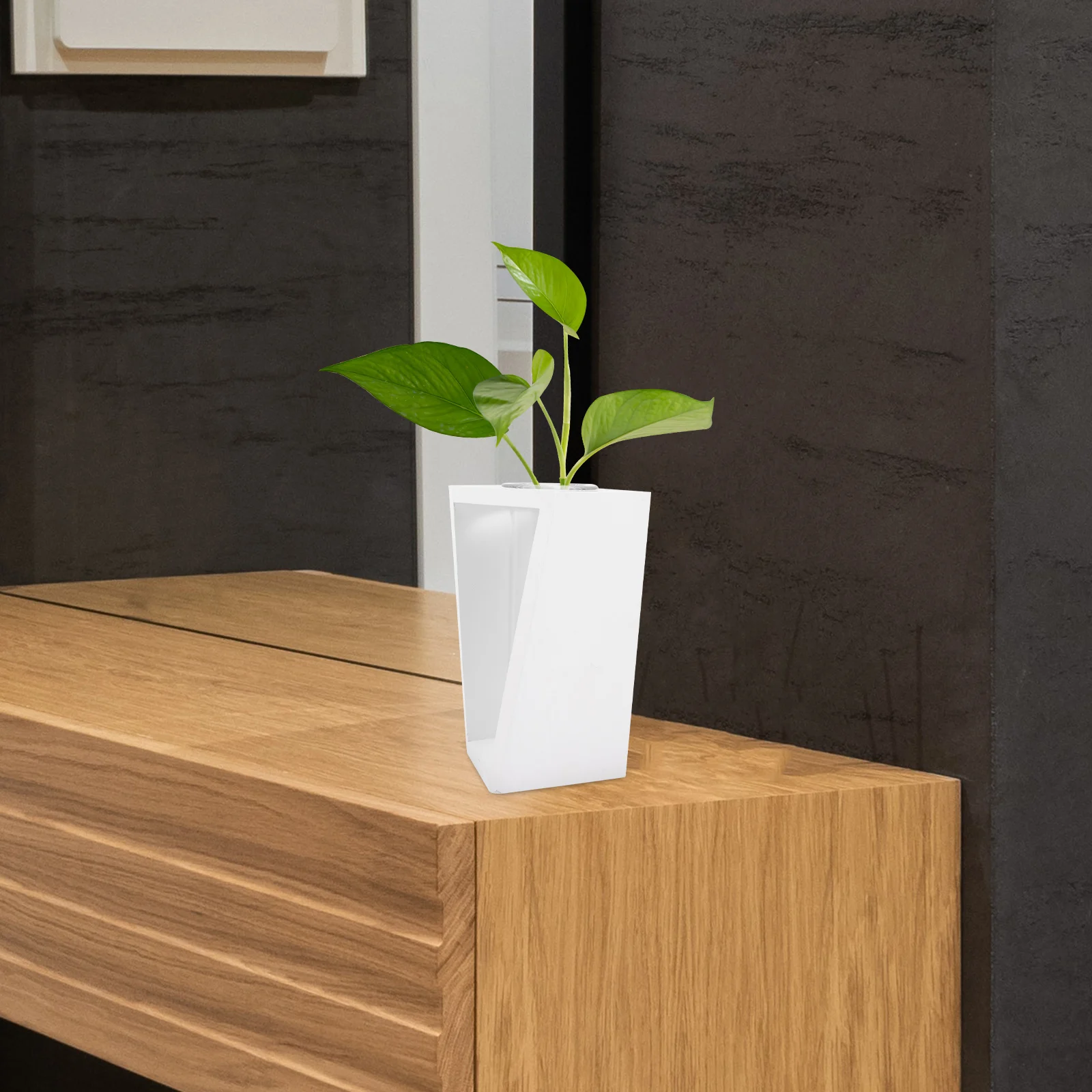 

Glass Vase Hydroponic Plant Test Tube Planter with Wood Rack Clear Glass Desk Propagation Station Indoor Decoration