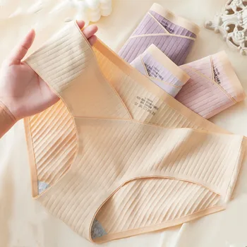 임산부용 V 로우 웨이스트 복부 속옷, 50S 코튼 임산부 브리프, 임신 팬티 착용 가능, 100 kg