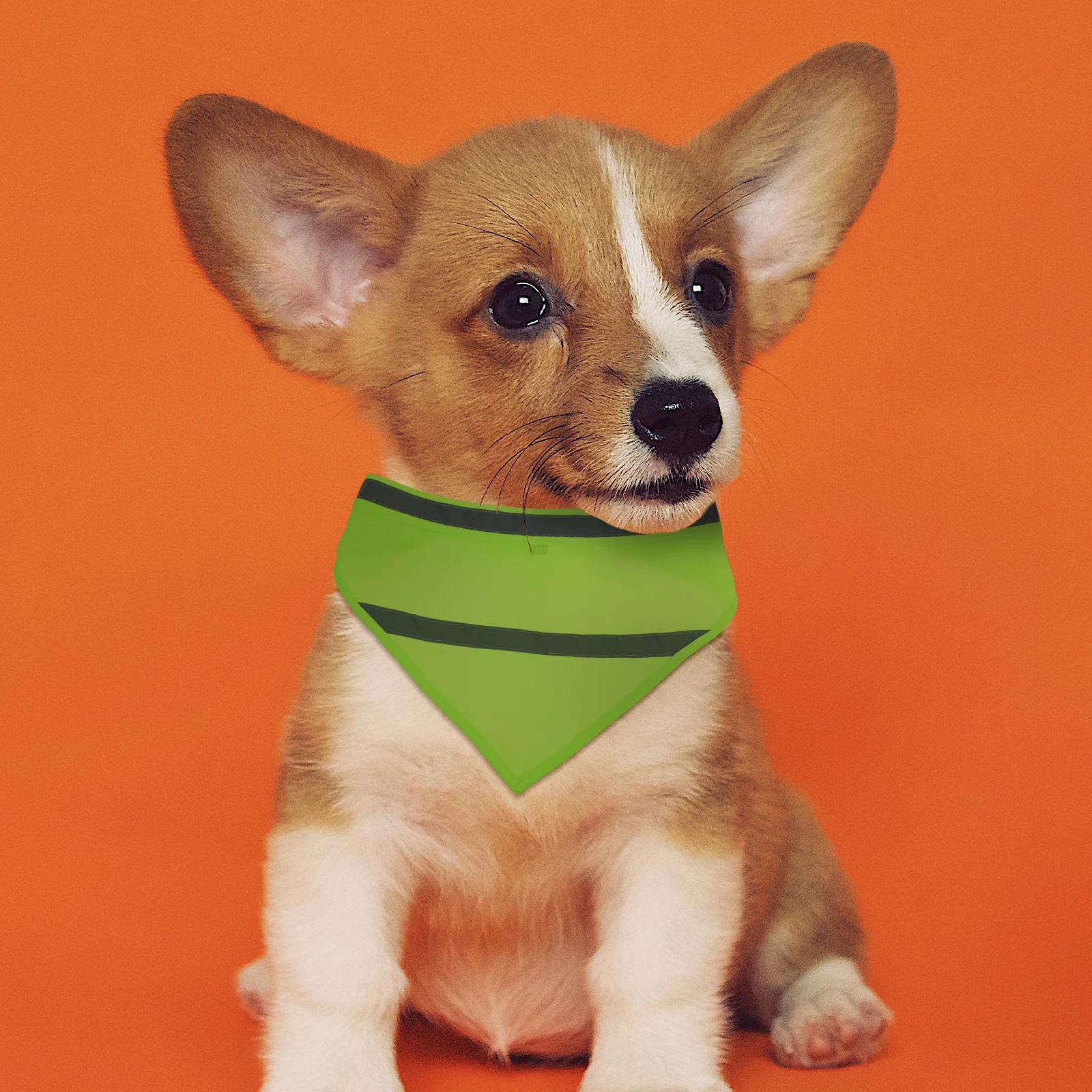 

2 Pcs Pet Luminous Scarf Reflective Bandana Bright Color Adjustable Washable Dog Collar Puppy Neckwear Pet Accessories