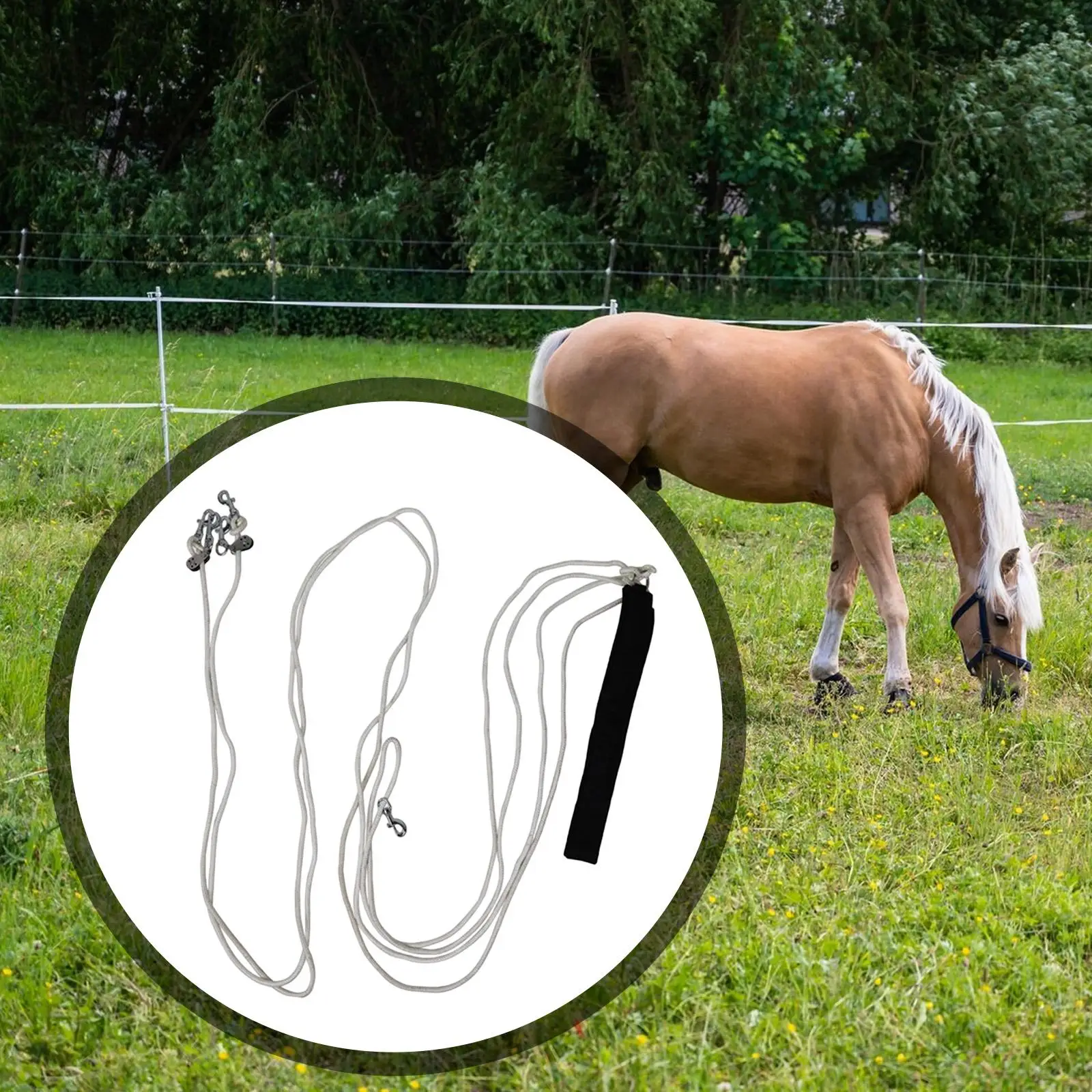 horse-training-lead-rope-pulley-adjustable-nylon-accessory-horse-control-rein-for-equine-walking-and-stable