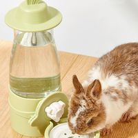 Leakproof Pet Water Dispenser 600ml Hanging Design Automatic Water Feeder Anti-Splash No Spill Rabbit Drinking Bowl Cage Mount