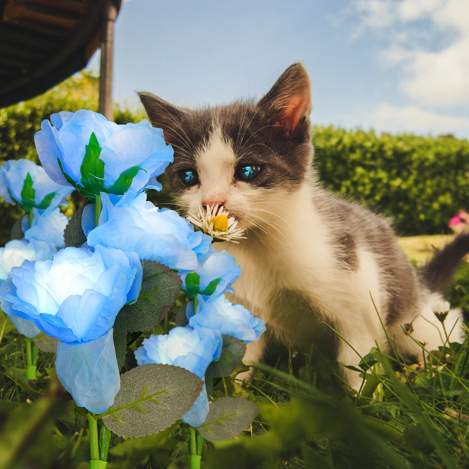 Seide ABS Powered Garten Rasen Dekoration Outdoor LED Blumenlampe Solar Garten Solarbeleuchtung