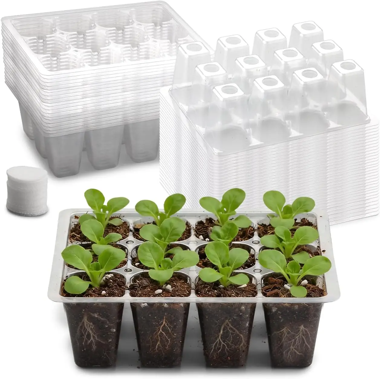 

60 Pack Reusable 12-Cell Clear Seed Starter Trays - Extra Large Drainage Holes, Easy to Repotted, Clear Transparent Tray