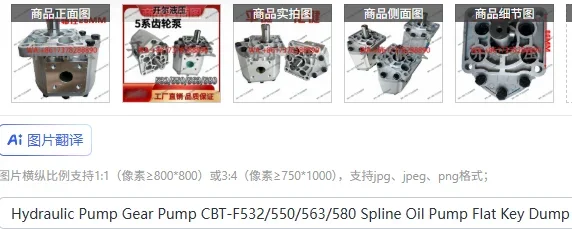 

Hydraulic Pump Gear Pump CBT-F532/550/563/580 Spline Oil Pump Flat Key Dump Truck Hydraulic Sanitation Truck