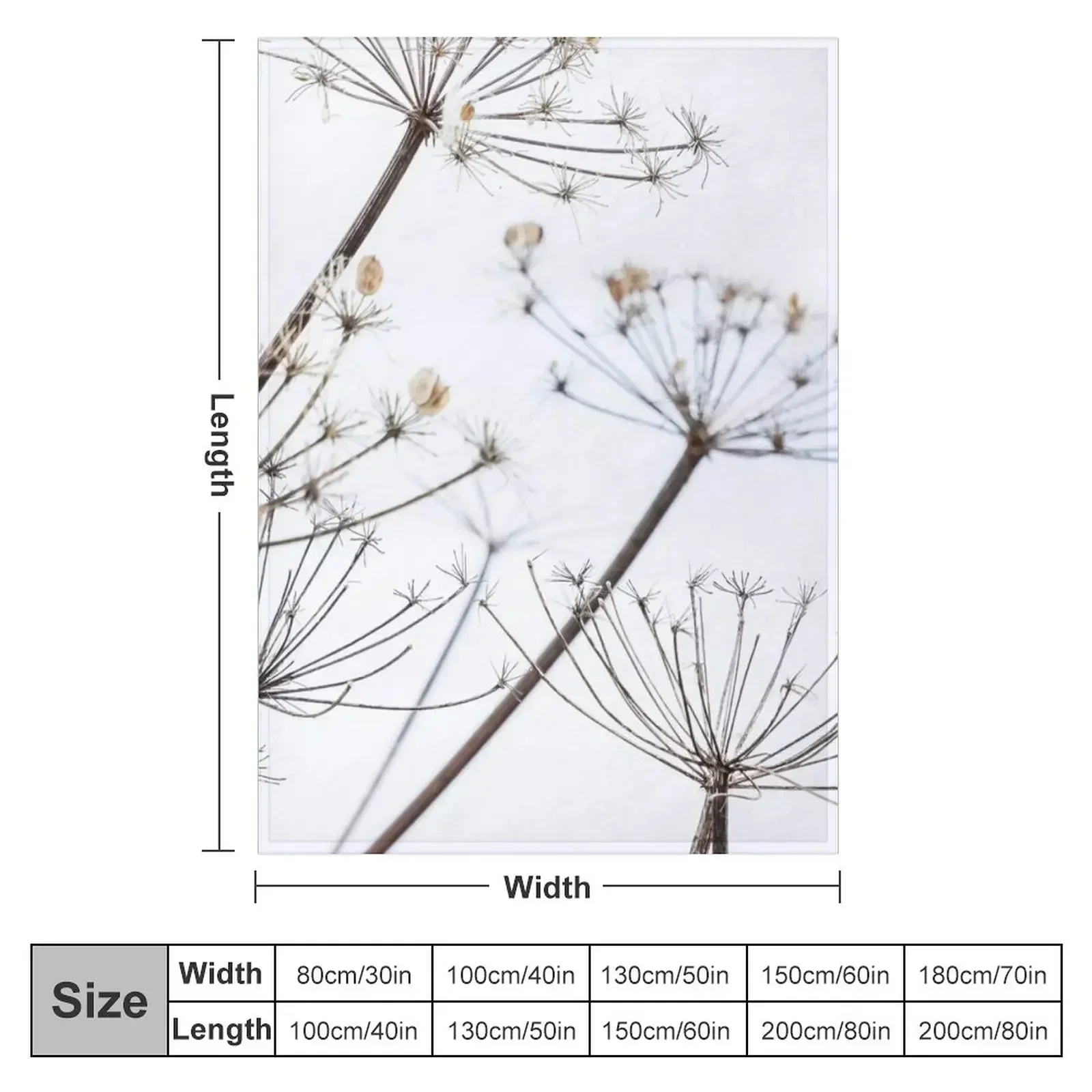 Dried Cow Parsley Seed Heads Throw Blanket couch cozy soft plush fuzzy picnic outdoor blanket