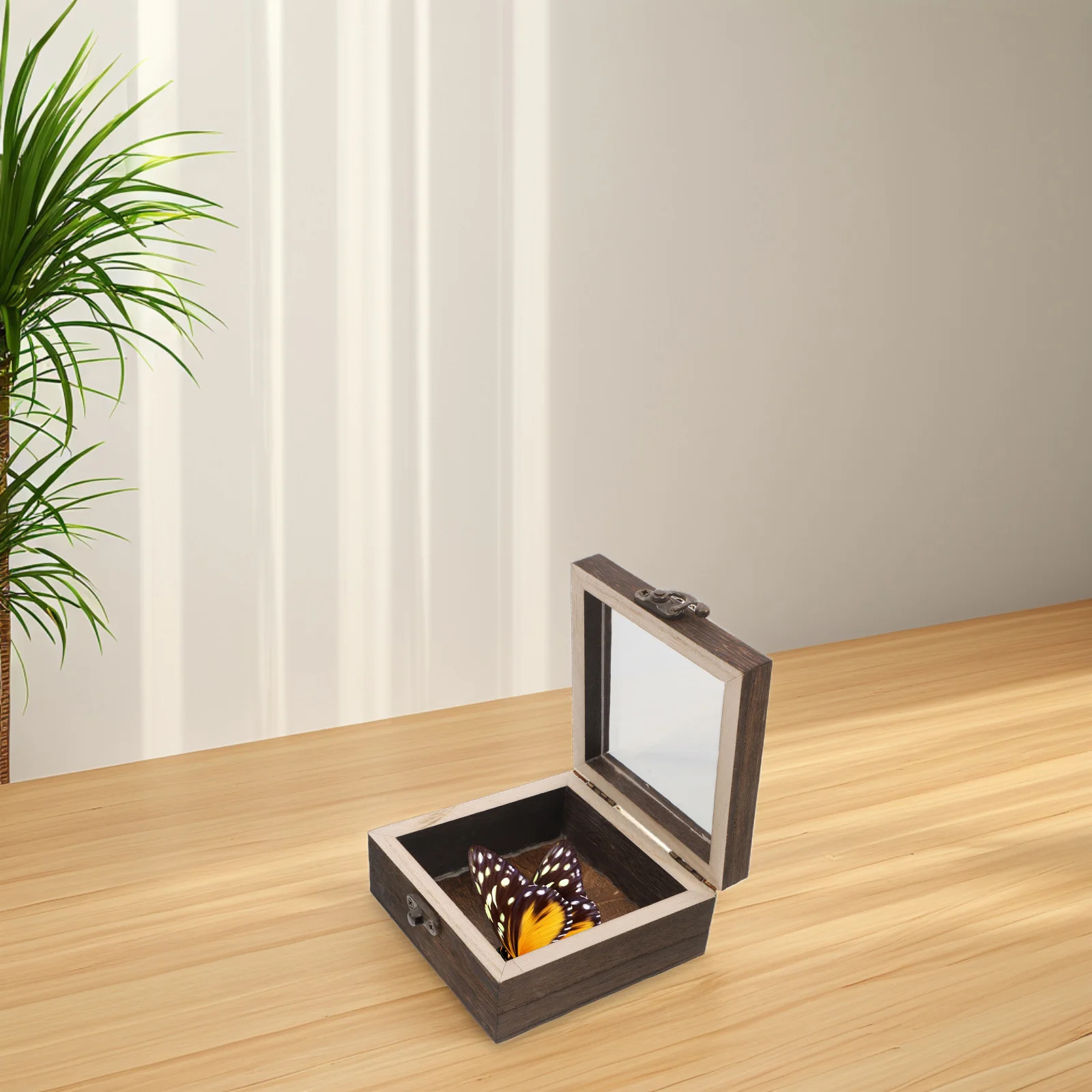 

Wooden Insect Specimen Box Flip Top Design Butterfly Collection Case Dried Flower Display Eternal Flower Storage Keepsake Box