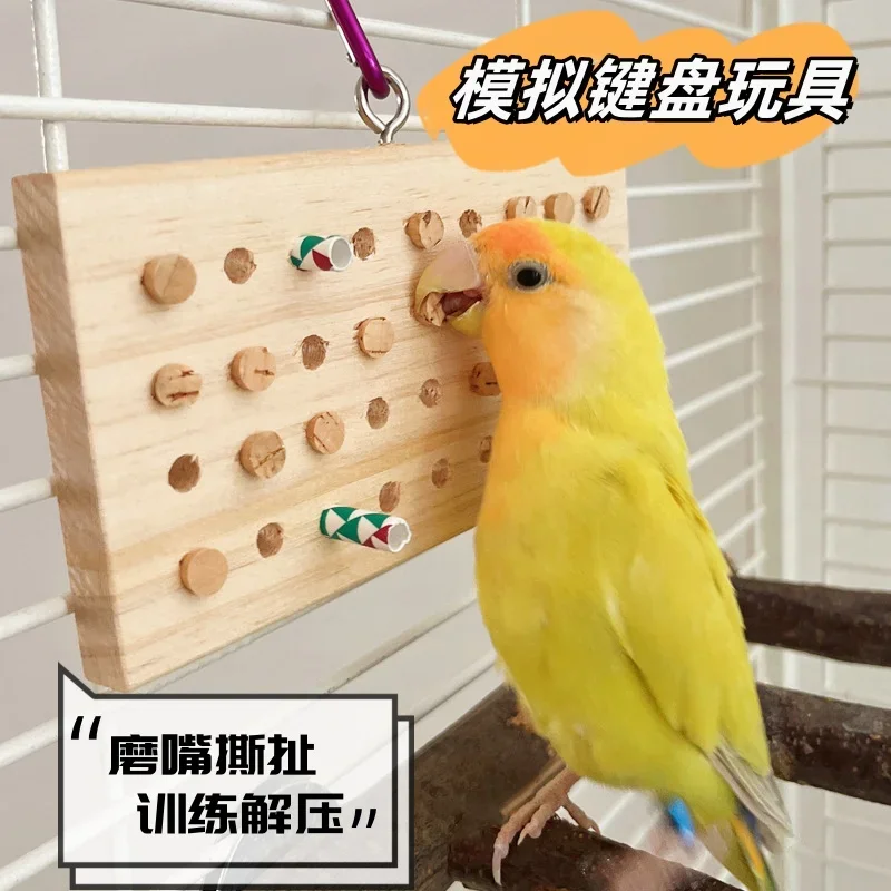 Parrot Simulates Keyboard, Chews Toys, Pulls Tintin Puzzle, Pulls Corks, Vents and Decompresses Computer Keyboard