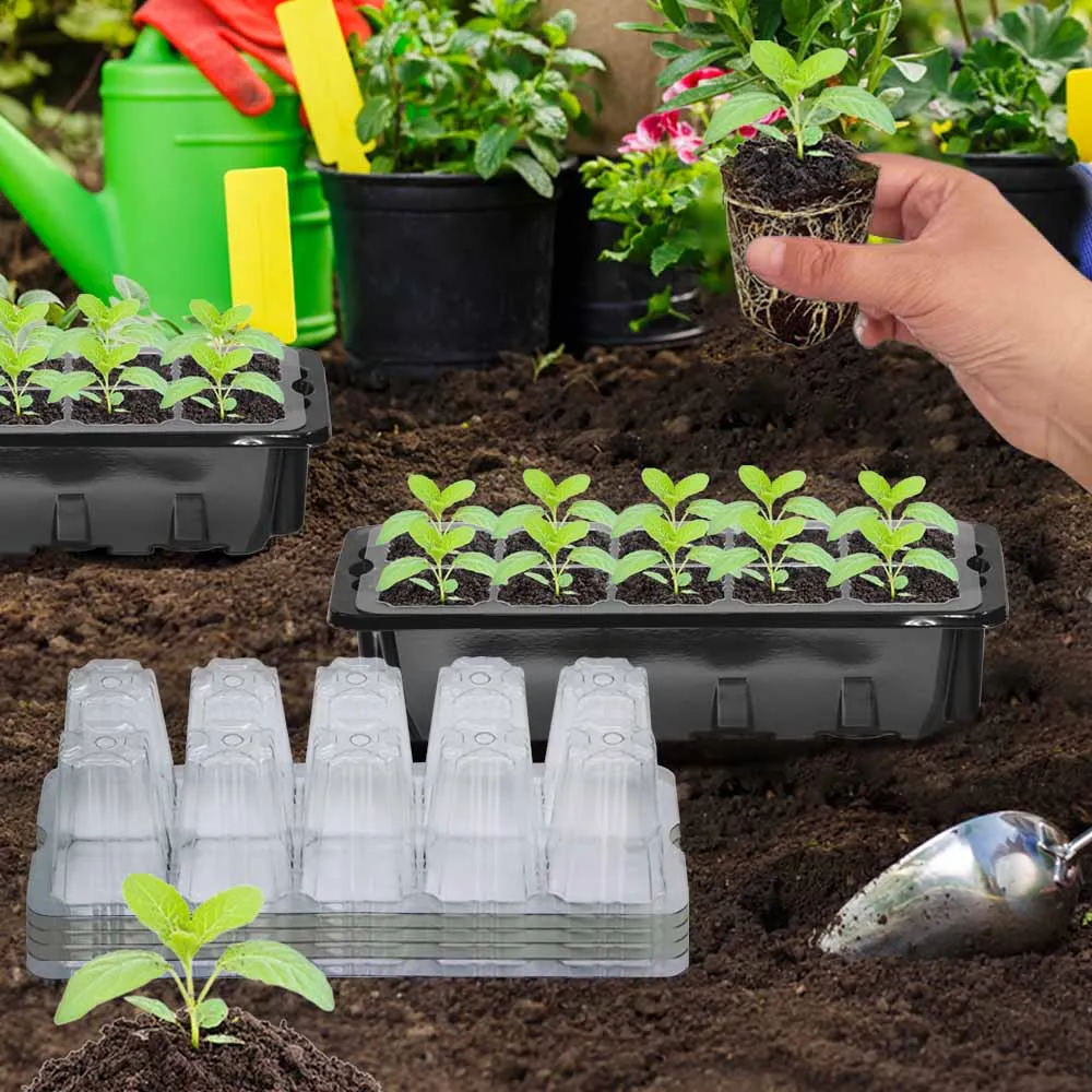 Bandejas de plántulas para vivero, alféizar de 10 celdas, caja de germinación de humedad ajustable, cubierta transparente, macetas de crecimiento para invernadero de jardín interior