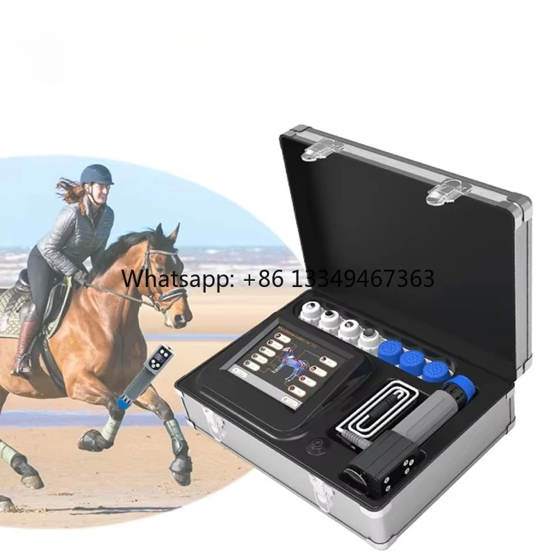 

2026 Vet Therapy Radial Extracorporeal Shock Wave Physiotherapy Eswt Machine for Clinic