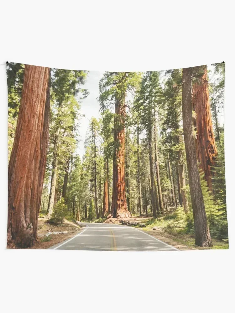 sequoia national park Tapestry Wall Hanging Decor Room Decorations Aesthetic Decoration Decorative Wall Mural Tapestry