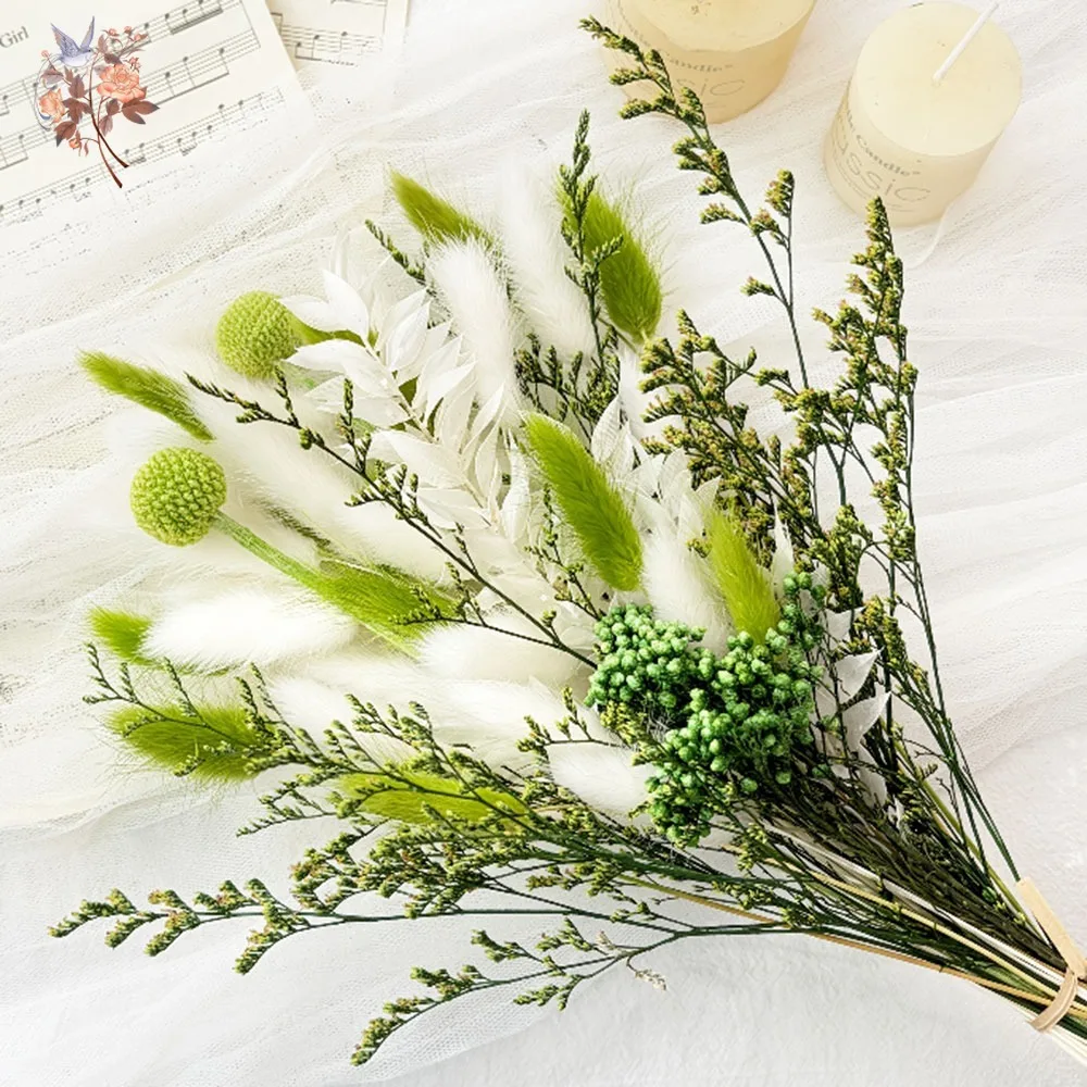 

Dried Flowers Natural Pampas Rabbit Tail Grass Green Plants Home Garden Decor Arrangement Friend Gifts Coffee Table Vase Filler