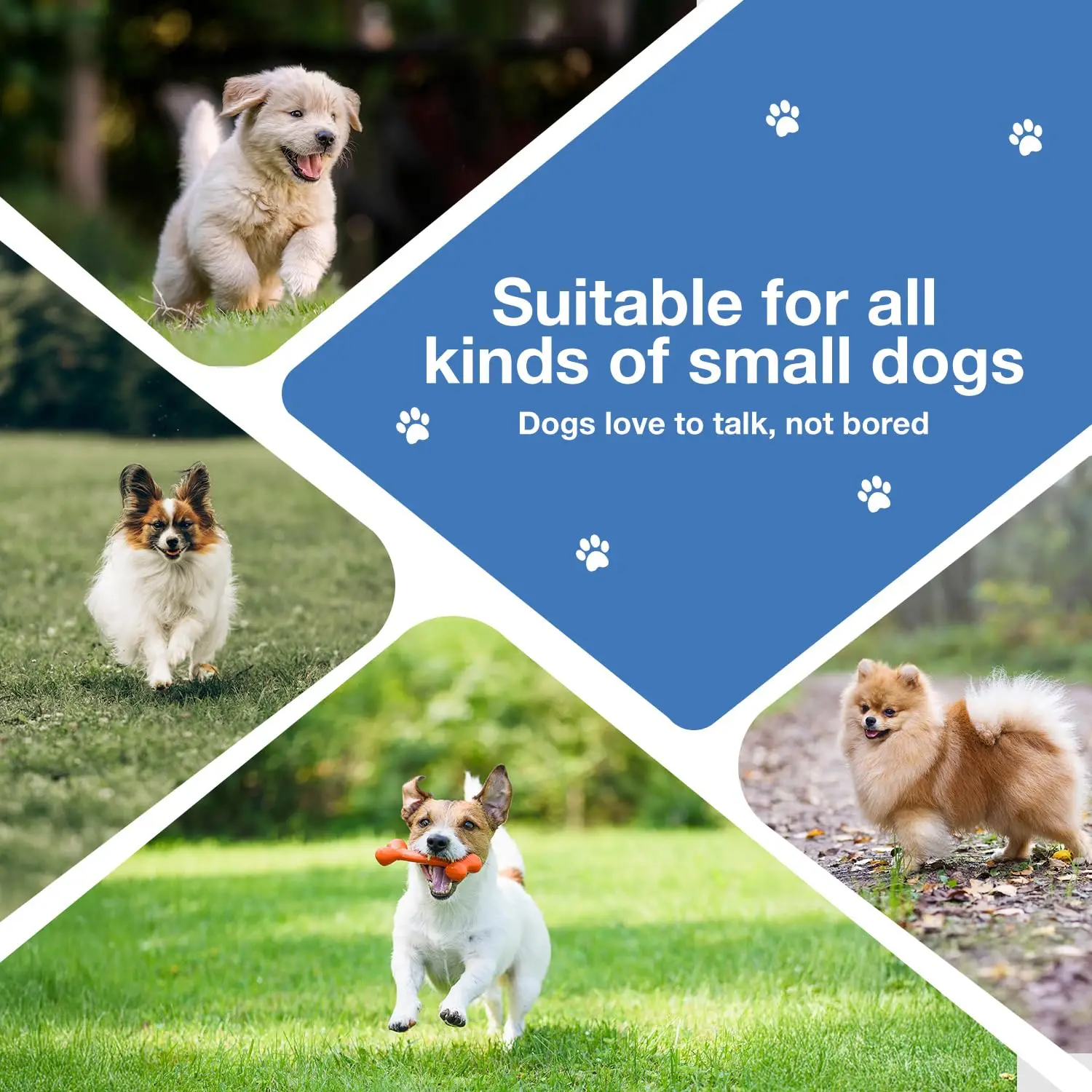 Giocattolo interattivo con palla per cani da 2 pezzi – Giocattolo per animali domestici attivato dal movimento automatico a LED ricaricabile TPU resistente alla masticazione per cani di piccola taglia e gatti