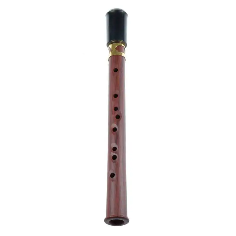Magic Flute 9 Hole C Tone Resin Magic Flute Adults Practice Performance Traditional Flutes Portable New Woodwind Instruments