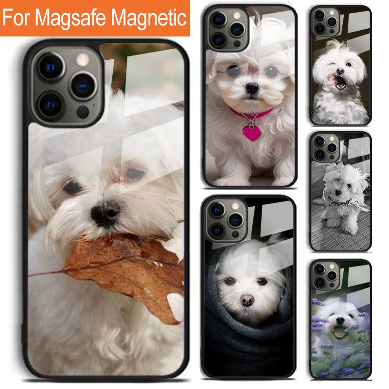 

Чехол для телефона с мальтийской собакой и щенком для iPhone 17, Air 16, 15, 14, 12, Pro Max Plus Magsafe, магнитный чехол для беспроводной зарядки