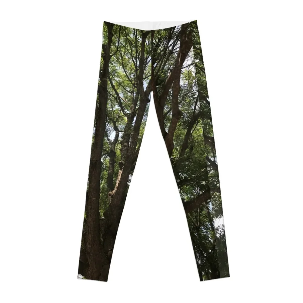 

Tree Love Leggings Women's gym Women's pants Sports pants woman Womens Leggings