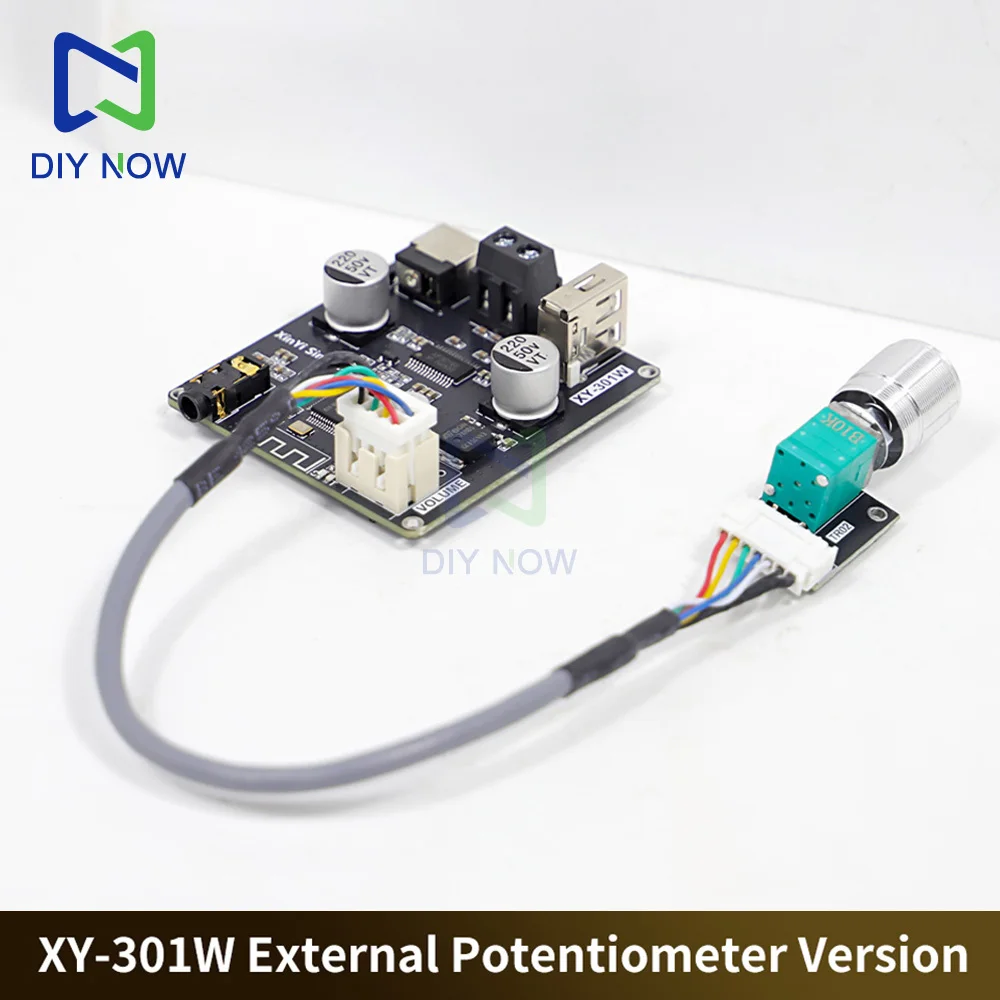 XY-301W أحادية 30 واط بلوتوث مضخم الصوت الرقمي مجلس TWS صحيح صوت ستيريو لاسلكي لمكبرات الصوت مع تيار مستمر 9-24 فولت دعم التطبيق #1