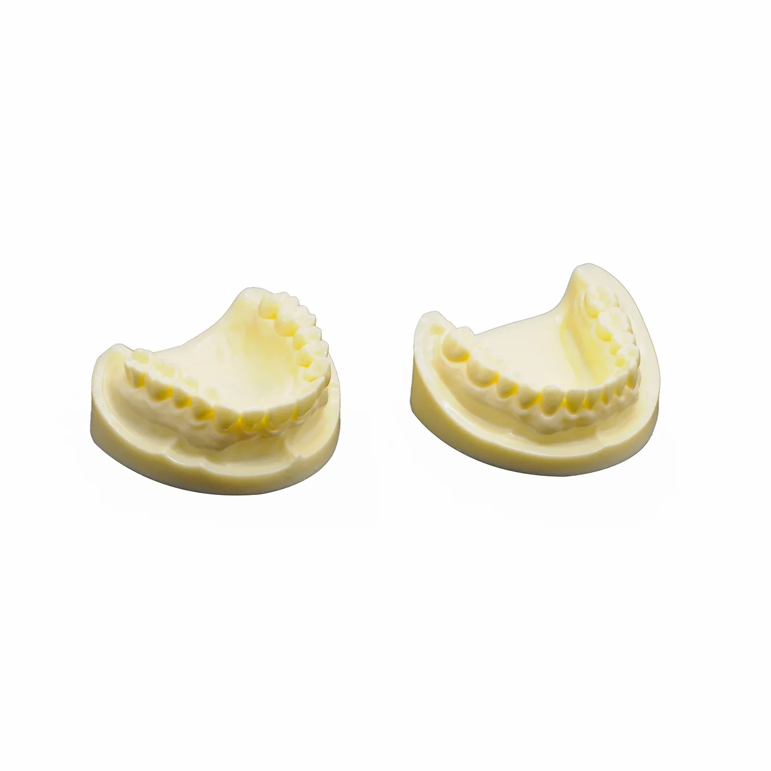 1 Pcs Dental Teaching Model White Corundum Tooth Model Use for communication between doctor and patient