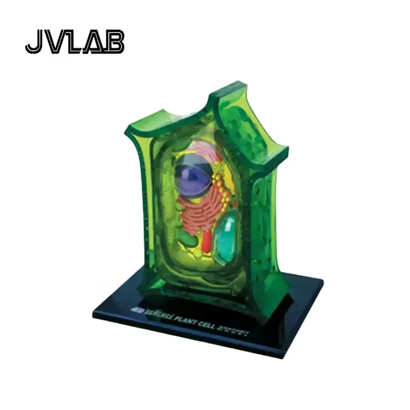 

4D Plant Cell Model Kit - DIY Anatomy Science STEM Toy Biology Learning Educational Tool for School Homeschool JVLAB