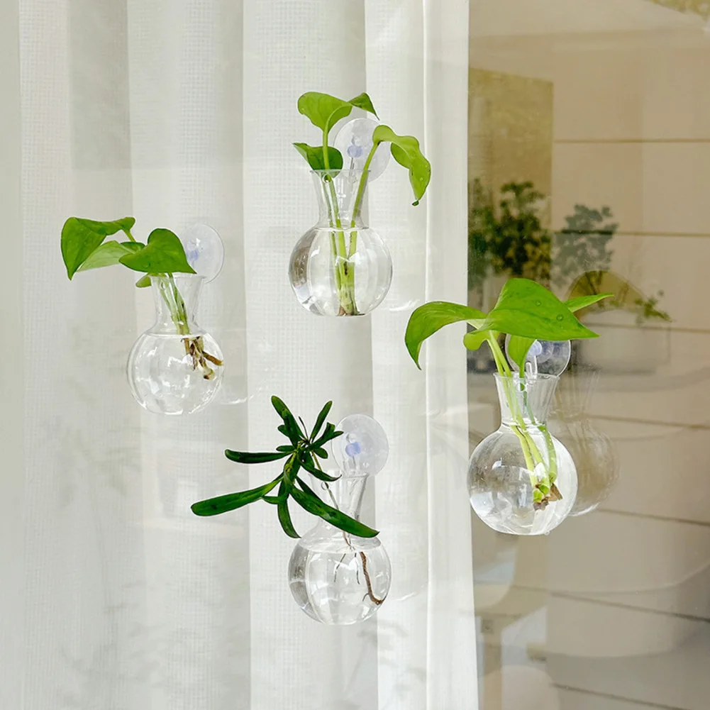 Bulb Vase for Propagation with for Clear Body and Suction Cup Base Plus Hooks for Mounting on and Other Flat Surfaces