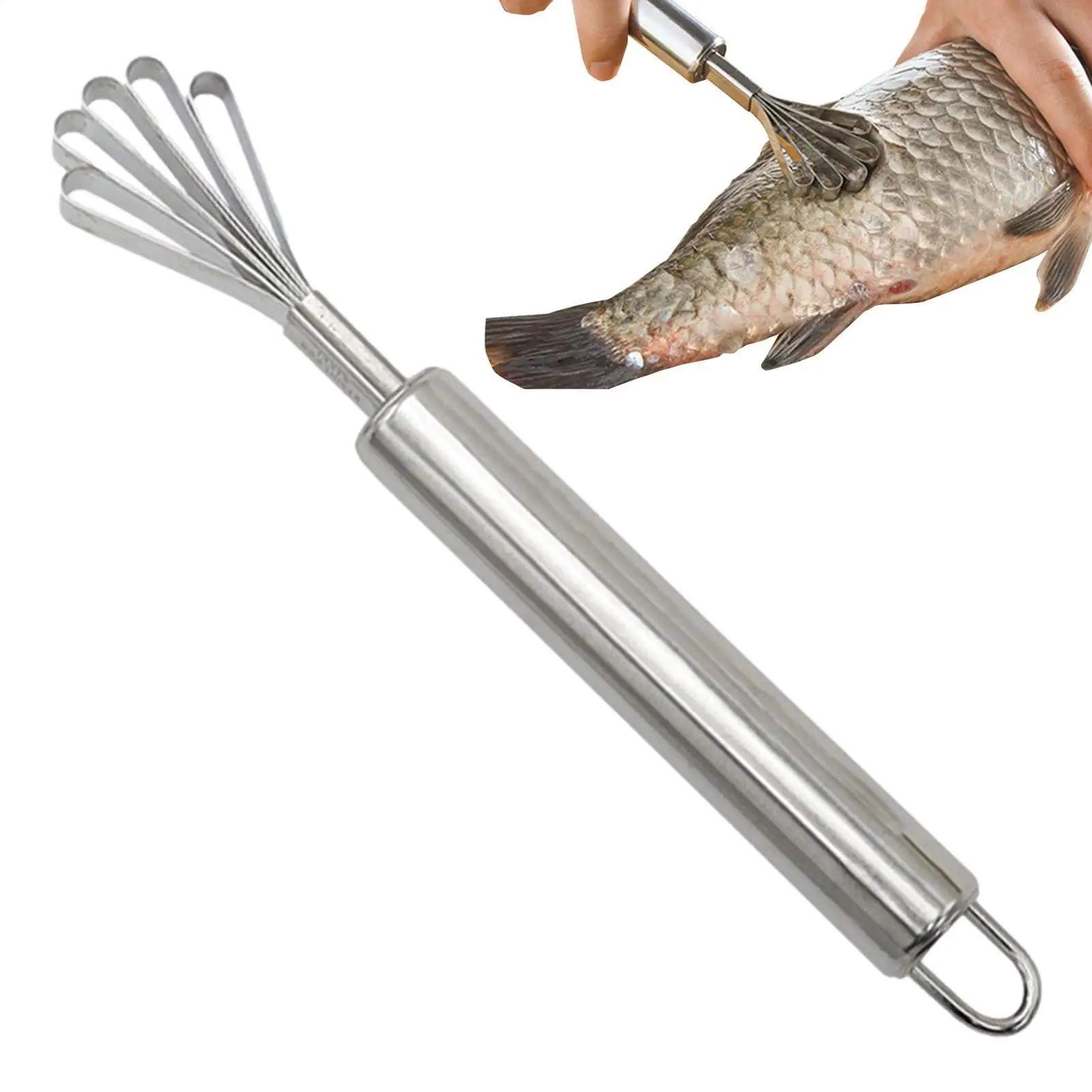 Coconut Scraper Stainless Steel Coconut Knife Home Coconut Grater Scraping Coconut Meat Fish Fruit Planning Tools