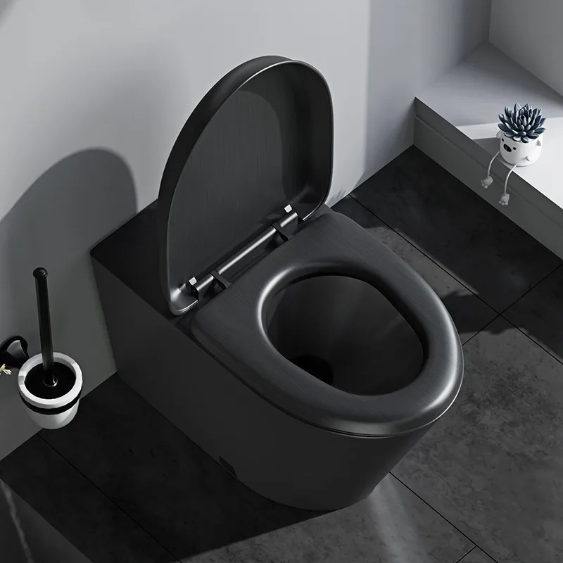 Black 304 stainless steel toilet bar toilet concealed water tank toilet deodorant