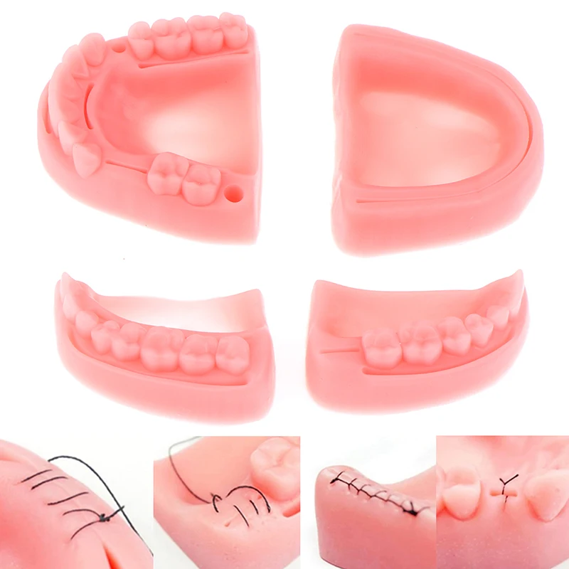 【4pcs/set Medical Suture Training Module Soft Gum Model Food-grade Silicone Dental Model Teaching Equipment】