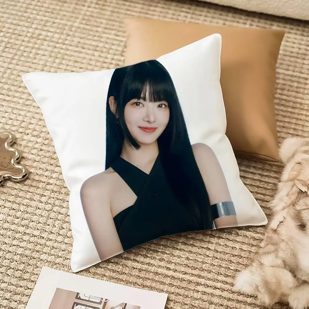 

H-Hong E-Eunchae Personalized Pillow Case Anti-dustmite Pillowcase Invisible zipper silky plush Sofa