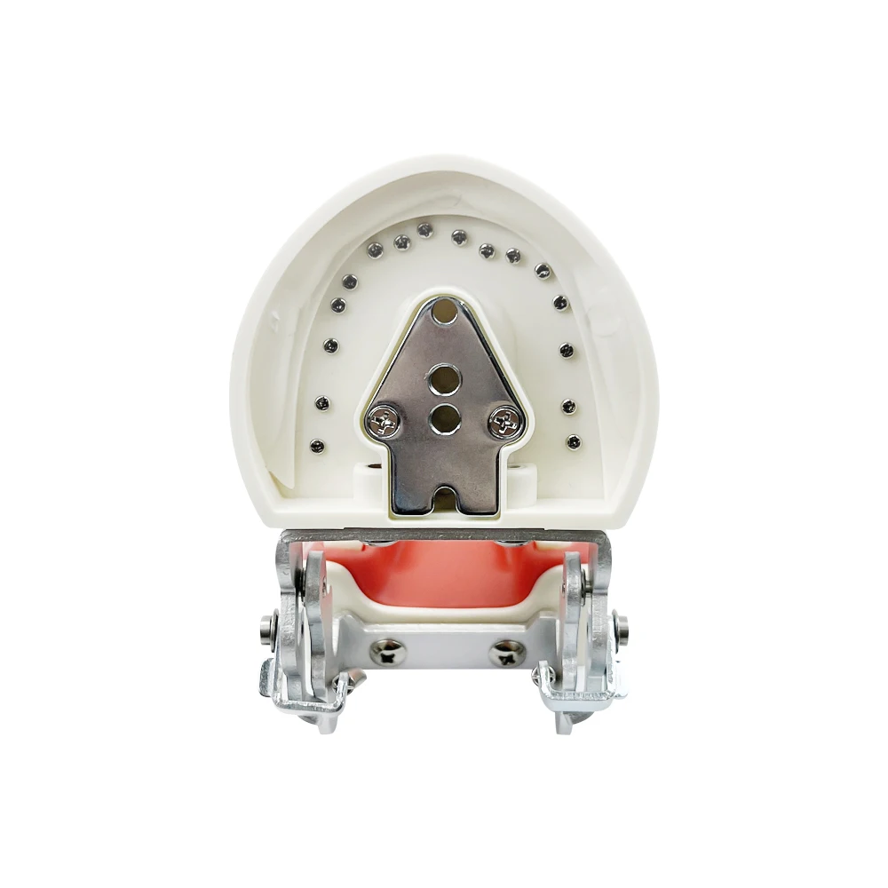 

Multiple Types Dental Teeth Model Teaching Models Typodont Orthodontic Implant Restoration Bridge Model For Studying Demo