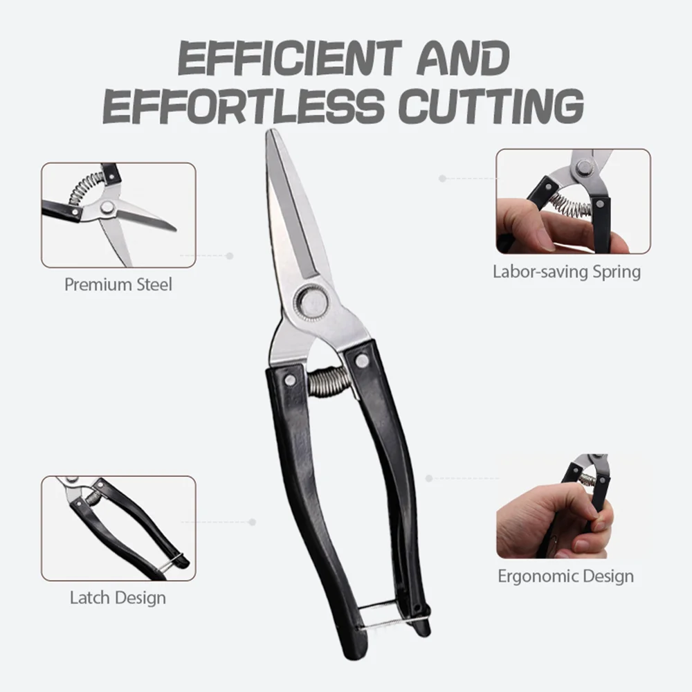 Straight Short Blade Fruit Picking Shears, Stainless Steel Horticultural Scissors Spray Paint Handle for Pepper Picking
