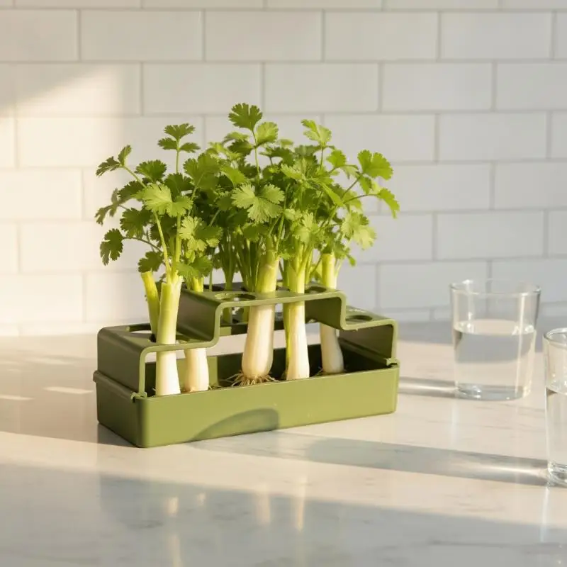 Hydroponic Green Onion Planter Reusable Self-Regrowing Device Food-Grade for Balcony Indoor Home Vegetable Growing Use