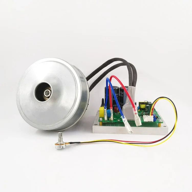2025 Low Price High Pressure High Efficiency Bldc Vacuum Motor