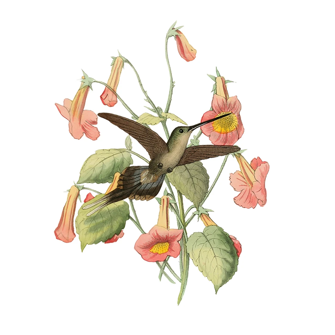 Three Ratels QC486 Classic elegant and beautiful handmade flower and bird art wall sticker toilet decal