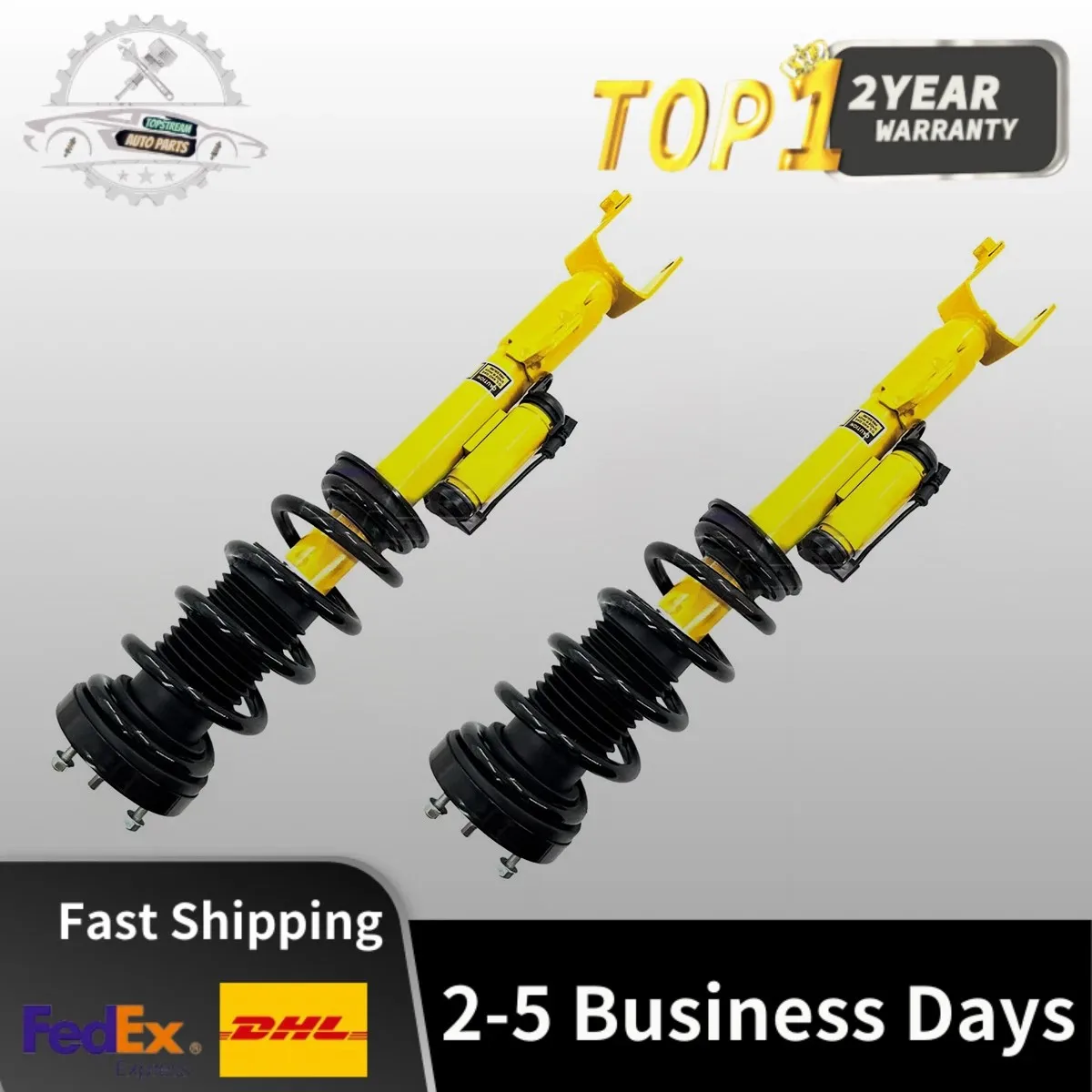 

Pair Front Shock Struts Spring Assembly w/Electric Fit Chrysler 300 C SRT8 2012-