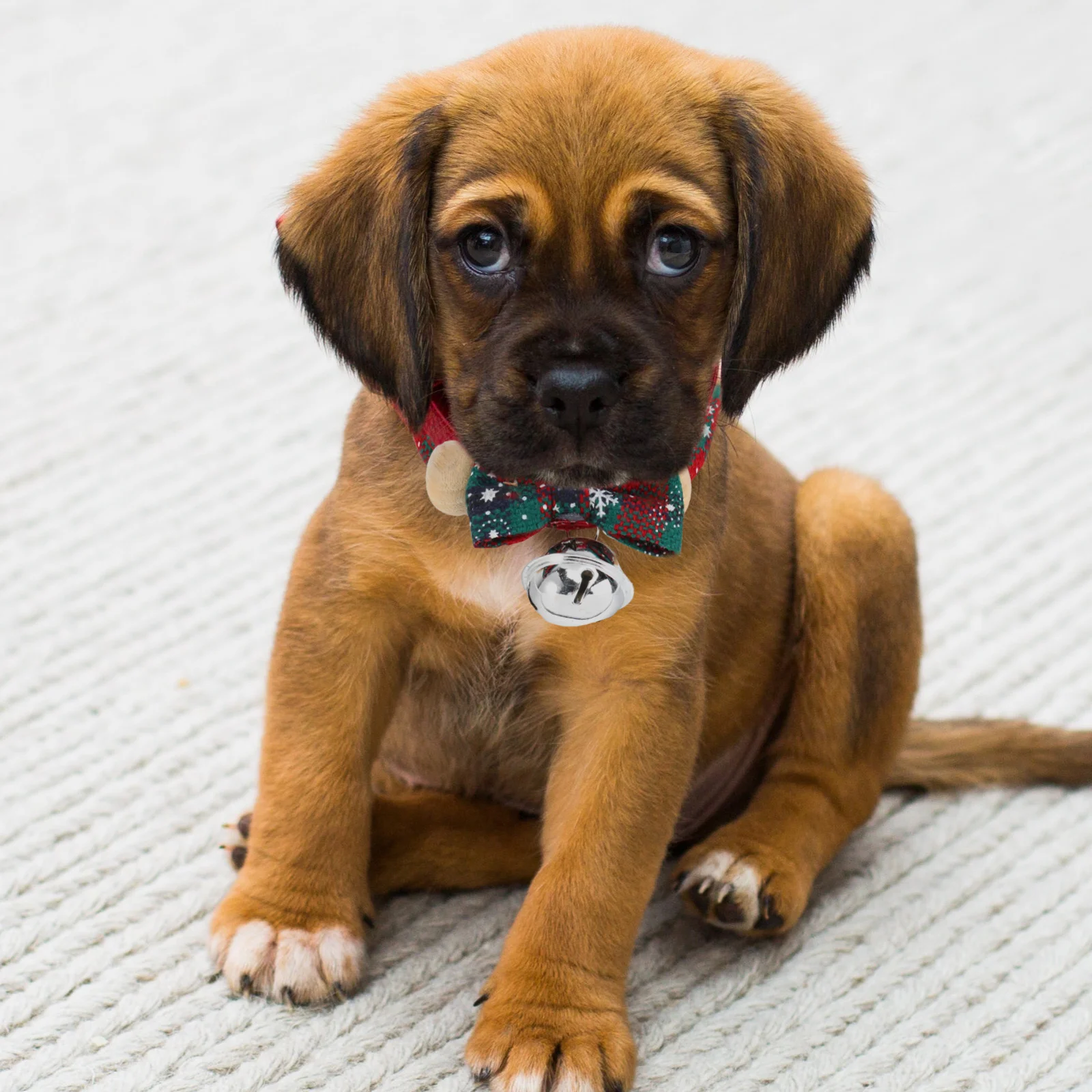 

Pet Christmas Collar Decorative Dog Necklace Bow Knot Bell Design Adjustable Soft Wood Beads Safe Pet Costume