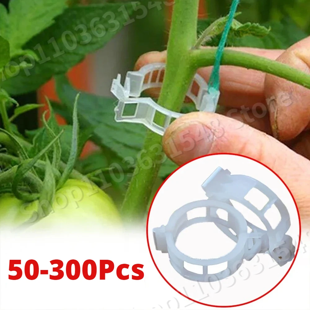 

150/50Pcs Plastic Plant Support Clips Reusable Plant Vine Protection Grafting Fixing Tool for Vegetable Tomato Garden Supplies