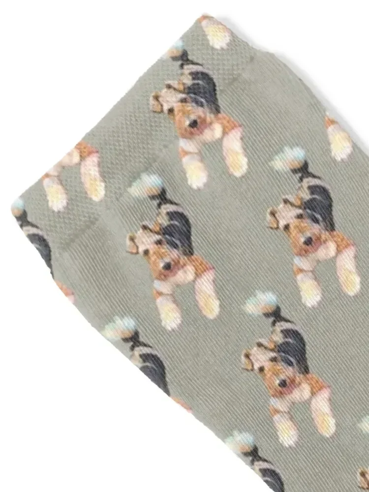 Foxy Fox Terrier Socks man cool Girl'S Socks Men's