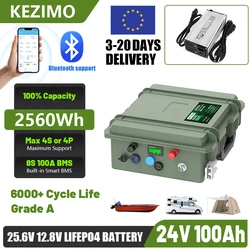 24V 12V 100Ah LiFePO4 Battery 2560Wh 140Ah 200Ah Lithium Battery Grade A Bluetooth BMS 6000+ Cycles IP56 USB QC Charge EU Stock
