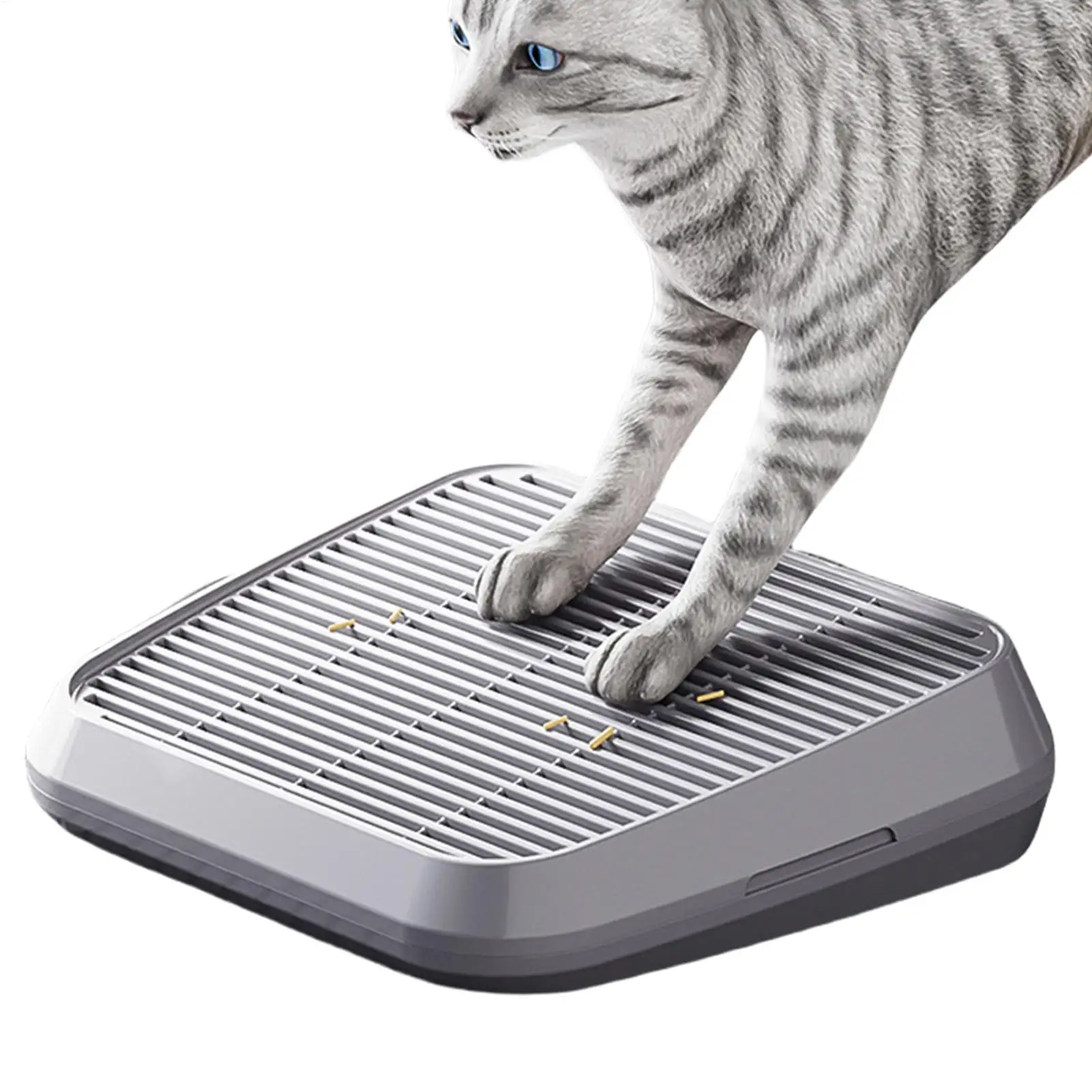 Katzenrampe für Katzentoilette, doppelschichtiges, erhöhtes Tablett mit Filterfunktion, rutschfester Fänger, einfaches Reinigungsmaterial