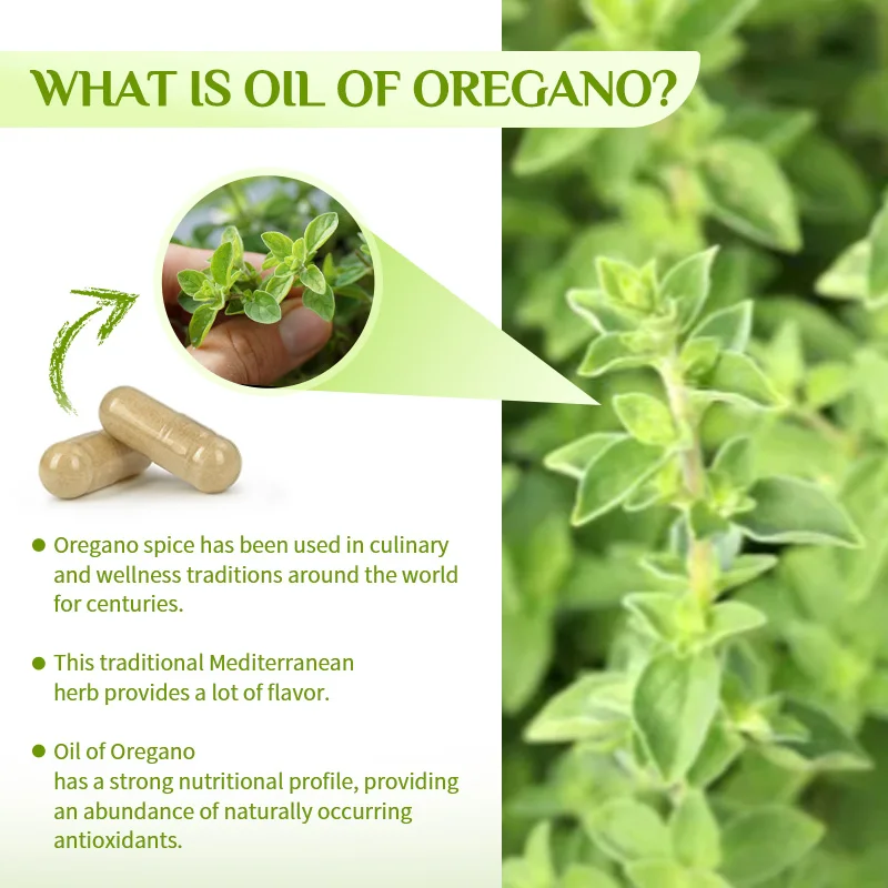 Oregano Oil Capsules Omega 3 6 9 Vitamin E for Gut Mood Blood Health Blood Circulation Cholesterol Hormone Balance Skin Beauty