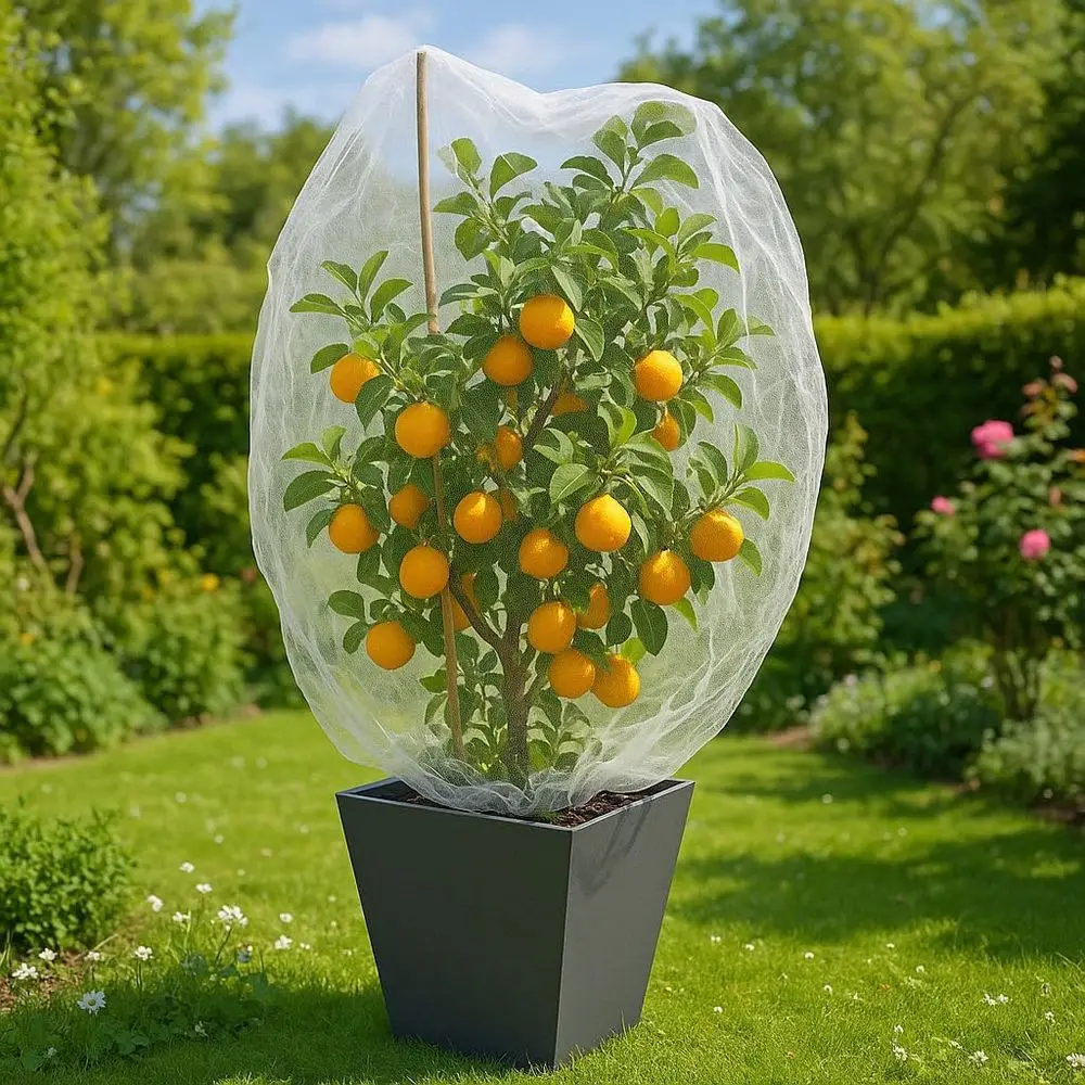 Fruit Tree Protection Bags, 4x4.5 ft, 4-Pack | Garden Netting for Fruits & Vegetables | White Plant Net Cover | Bird & Insect Me