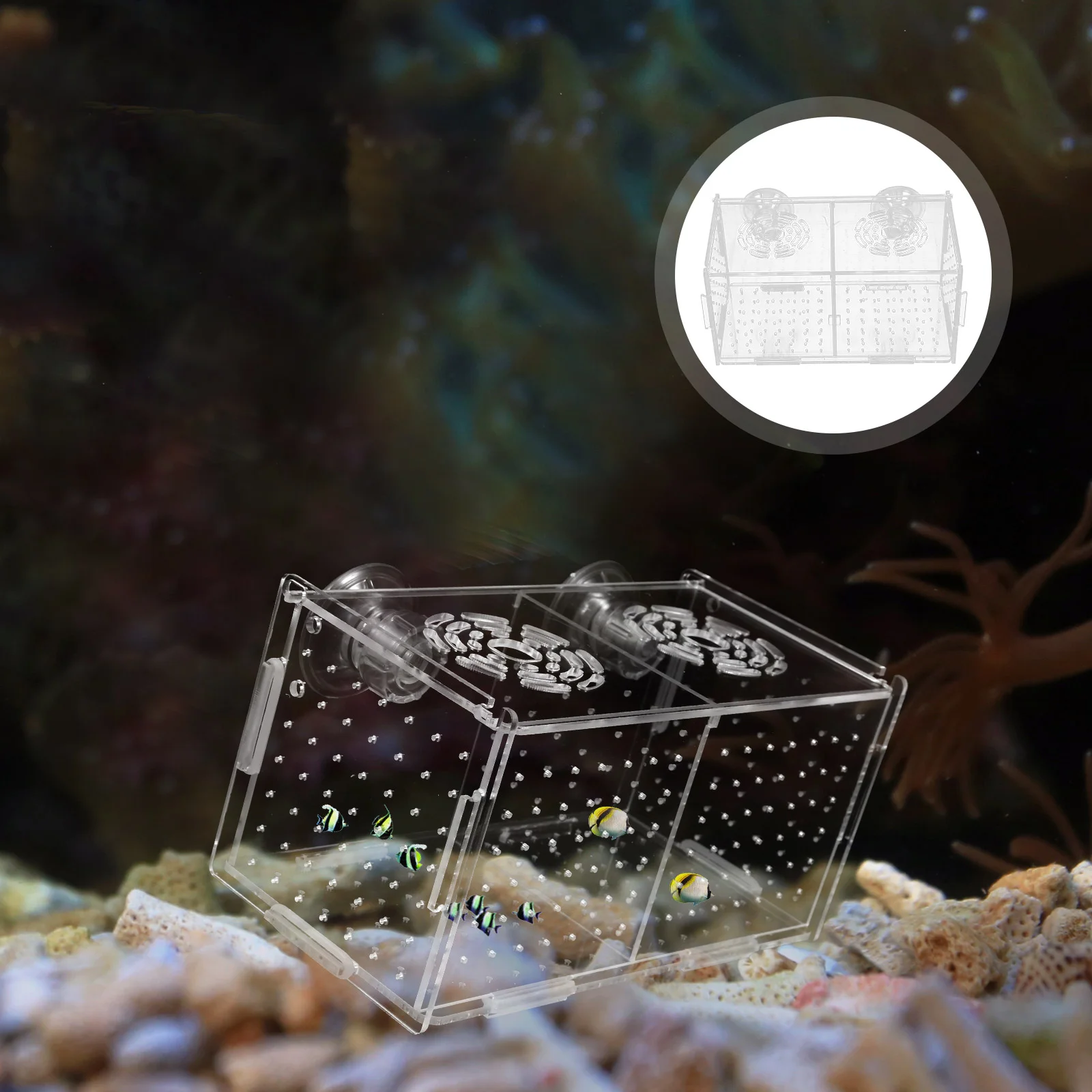 

Adult Fish Attack Prevention Hatching Boxes Fry Transparent Tank Aquarium Incubator Holder for Multifunctional