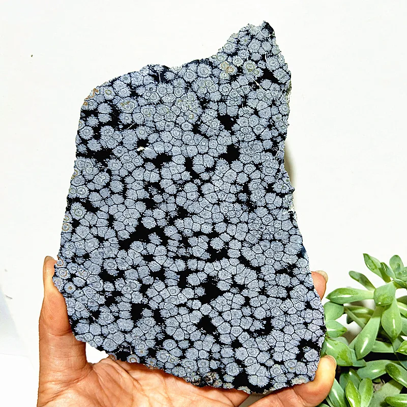 Natural Stone Snow Flake Obsidian Tablet Meditation Spiritual Healing Healing Feng Shui Energy Crystal Room Ornament