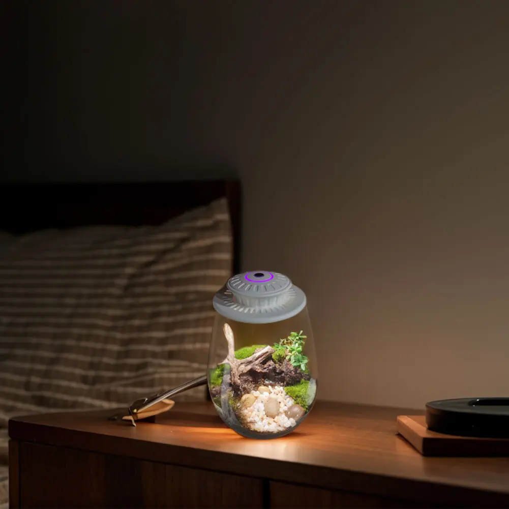 Micro Landscape Plant Growth Lamp with Timer Plant Grow Light LED Full Spectrum Growing Lamp for Miniature Gardening Landscape