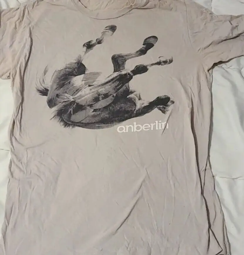 Anberlin band shirt, reprinted t-shirt, gift for fan, sand color TE6394