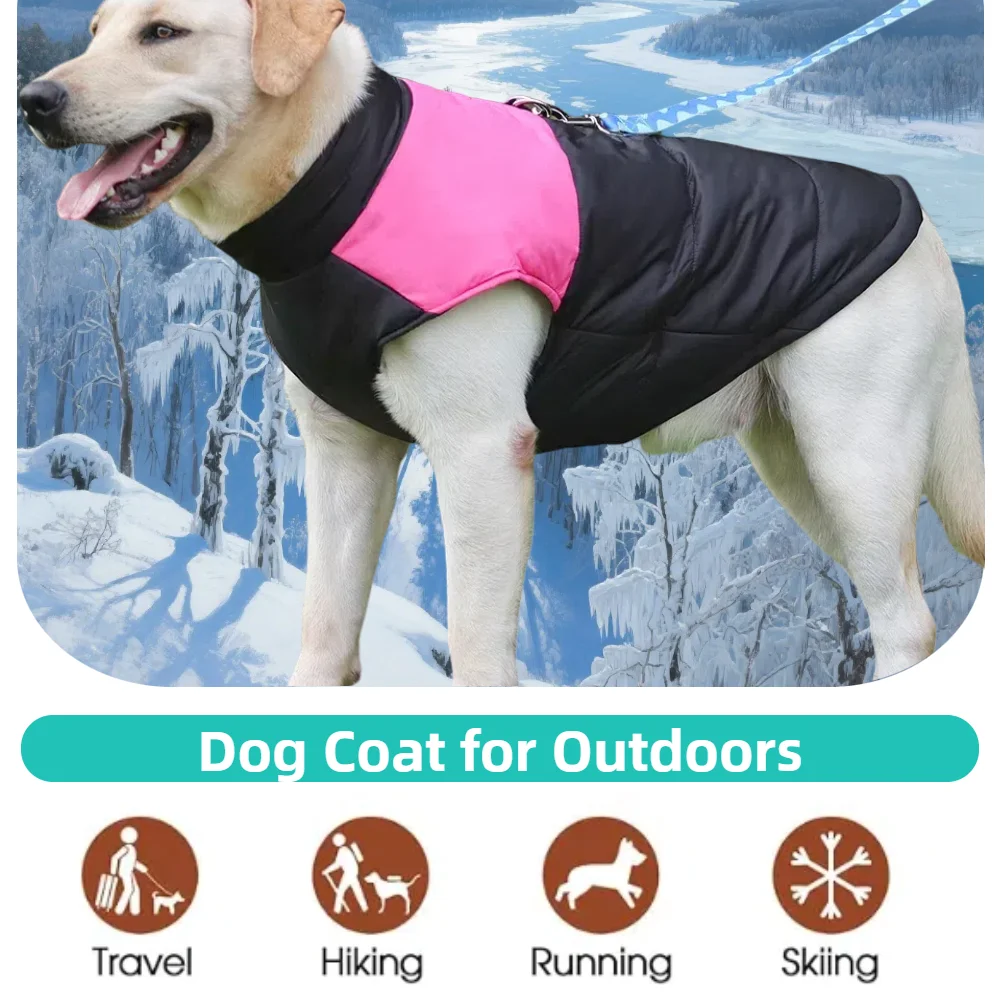 Thumbnail 4 - #11 Cheap Dog Coats Worth Buying